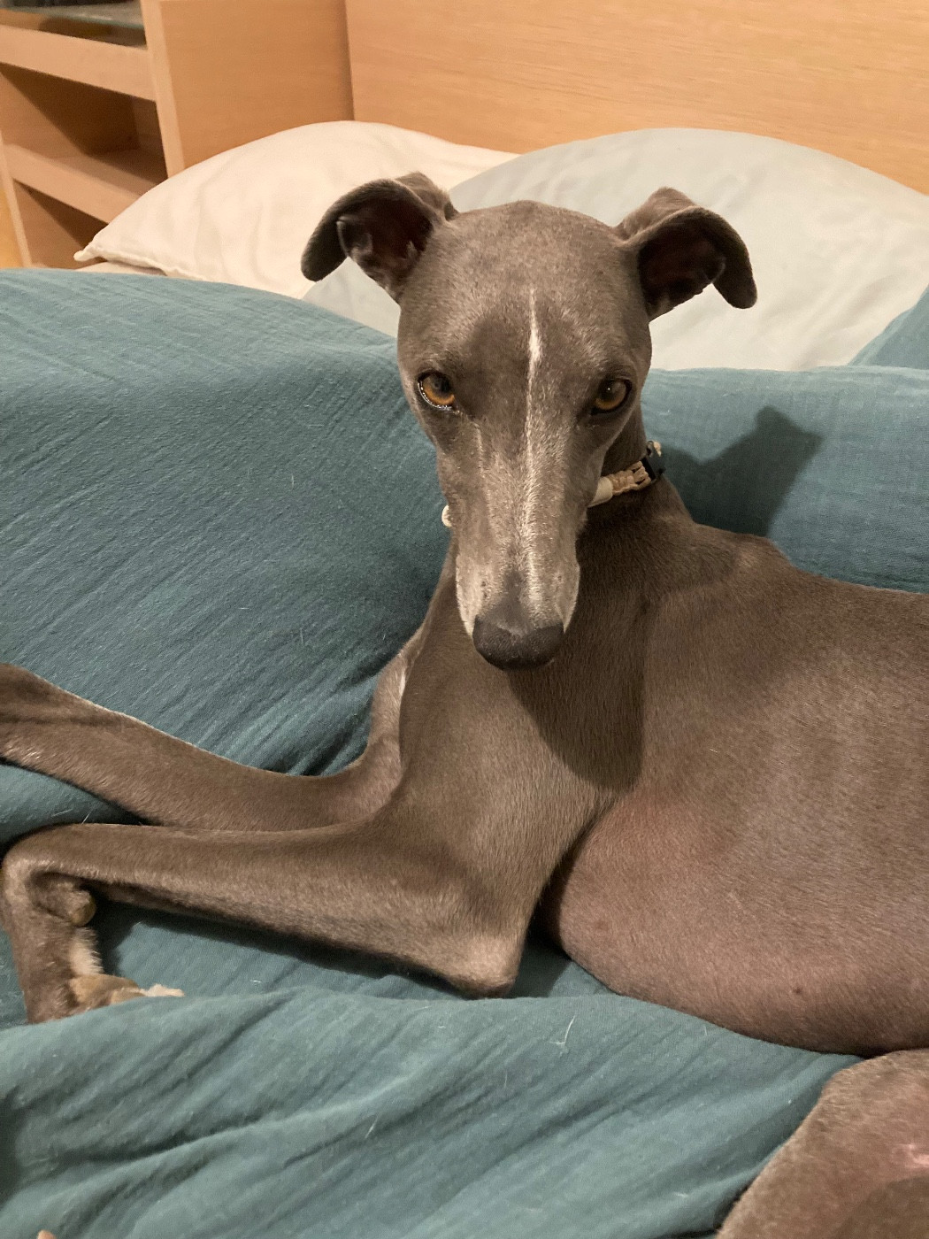 Radio gaga James Gang